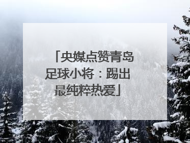 央媒点赞青岛足球小将：踢出最纯粹热爱