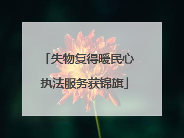 失物复得暖民心 执法服务获锦旗