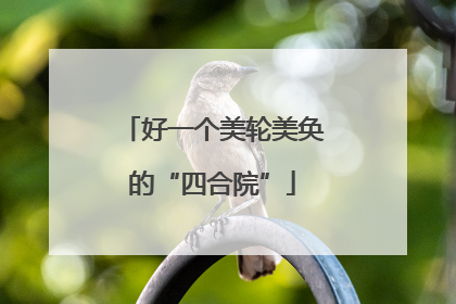 好一个美轮美奂的“四合院”