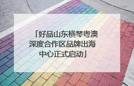 好品山东横琴粤澳深度合作区品牌出海中心正式启动