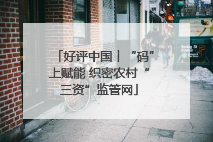 好评中国丨“码”上赋能 织密农村“三资”监管网