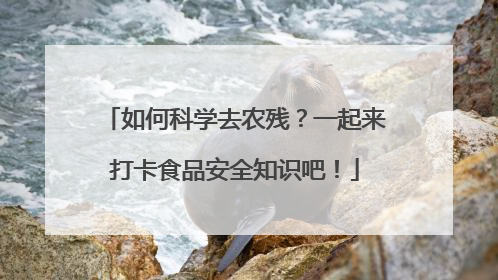 如何科学去农残？一起来打卡食品安全知识吧！