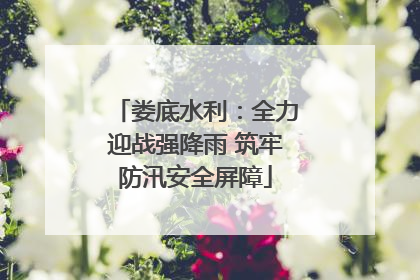 娄底水利：全力迎战强降雨 筑牢防汛安全屏障