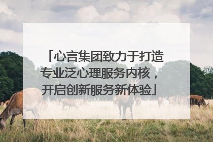 心言集团致力于打造专业泛心理服务内核，开启创新服务新体验