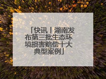 快讯丨湖南发布第三批生态环境损害赔偿十大典型案例