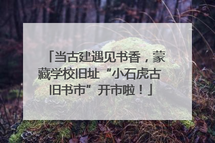 当古建遇见书香,蒙藏学校旧址“小石虎古旧书市”开市啦!