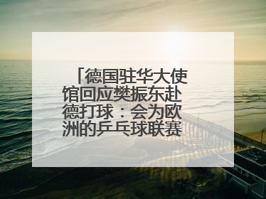 德国驻华大使馆回应樊振东赴德打球：会为欧洲的乒乓球联赛带来新的光彩