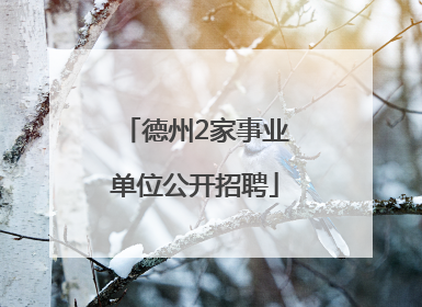 德州2家事业单位公开招聘