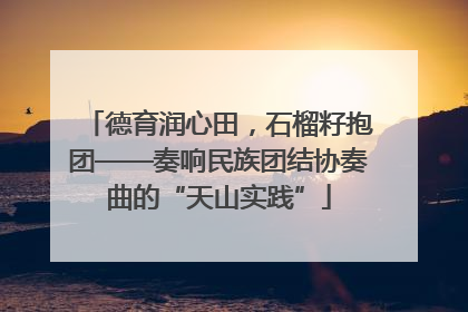 德育润心田，石榴籽抱团——奏响民族团结协奏曲的“天山实践”