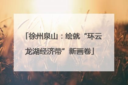 徐州泉山：绘就“环云龙湖经济带”新画卷