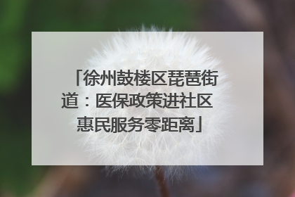 徐州鼓楼区琵琶街道：医保政策进社区 惠民服务零距离