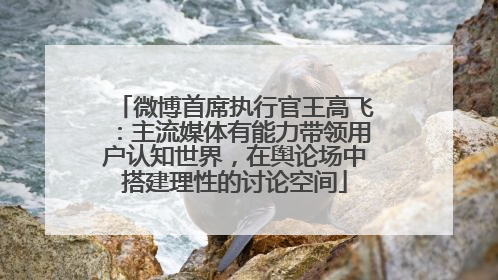 微博首席执行官王高飞：主流媒体有能力带领用户认知世界，在舆论场中搭建理性的讨论空间