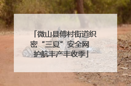 微山县傅村街道织密“三夏”安全网 护航丰产丰收季