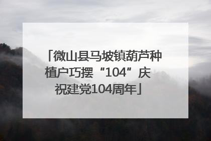 微山县马坡镇葫芦种植户巧摆“104”庆祝建党104周年