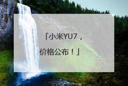 小米YU7，价格公布！