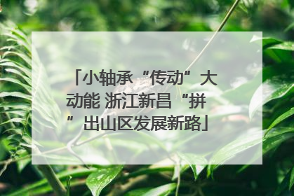 小轴承“传动”大动能 浙江新昌“拼”出山区发展新路