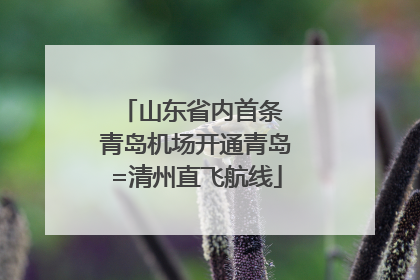 山东省内首条 青岛机场开通青岛=清州直飞航线