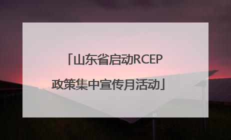 山东省启动RCEP政策集中宣传月活动