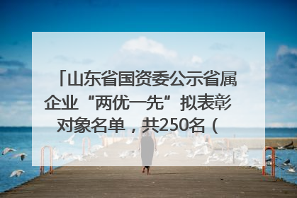 山东省国资委公示省属企业“两优一先”拟表彰对象名单，共250名（个）党员和党组织