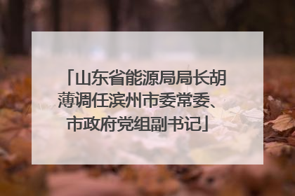 山东省能源局局长胡薄调任滨州市委常委、市政府党组副书记