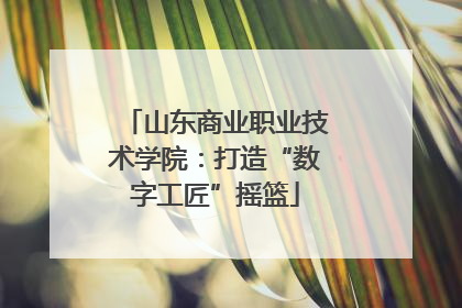 山东商业职业技术学院：打造“数字工匠”摇篮