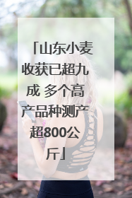 山东小麦收获已超九成 多个高产品种测产超800公斤
