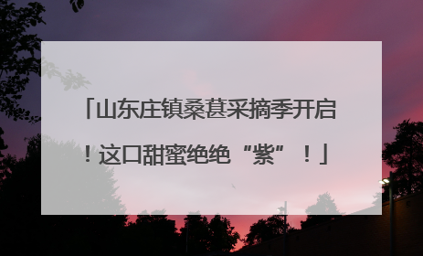 山东庄镇桑葚采摘季开启！这口甜蜜绝绝“紫”！