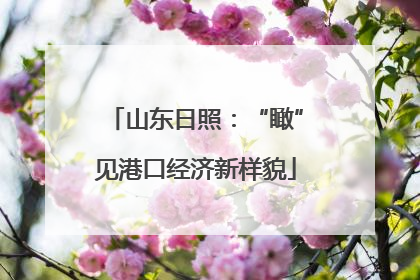 山东日照：“瞰”见港口经济新样貌