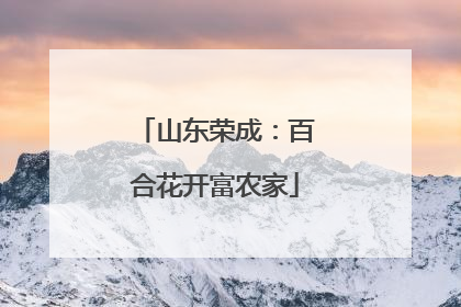 山东荣成：百合花开富农家