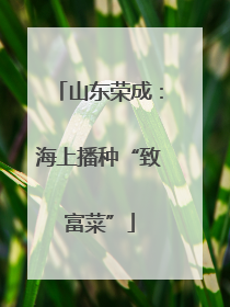 山东荣成：海上播种“致富菜”