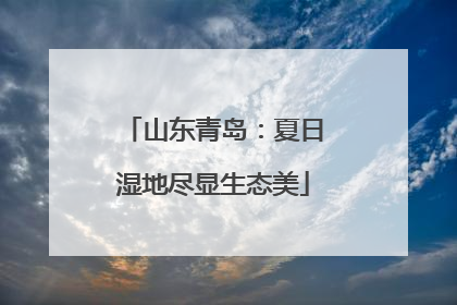 山东青岛：夏日湿地尽显生态美
