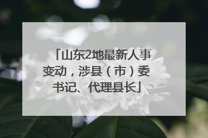 山东2地最新人事变动，涉县（市）委书记、代理县长