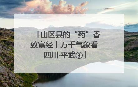 山区县的“药”香致富经丨万千气象看四川·平武③