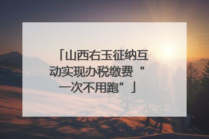 山西右玉征纳互动实现办税缴费“一次不用跑”