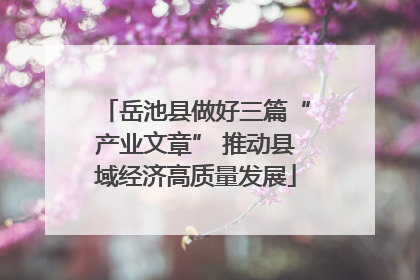 岳池县做好三篇“产业文章” 推动县域经济高质量发展