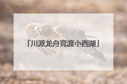 川派龙舟竞渡小西湖