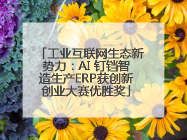 工业互联网生态新势力：AI 钉铛智造生产ERP获创新创业大赛优胜奖