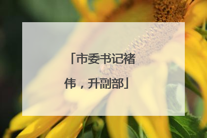 市委书记褚伟，升副部