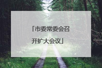 市委常委会召开扩大会议