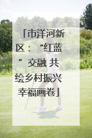 市洋河新区：“红蓝”交融 共绘乡村振兴幸福画卷