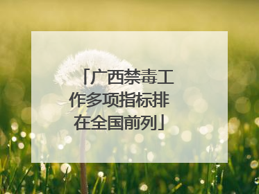 广西禁毒工作多项指标排在全国前列
