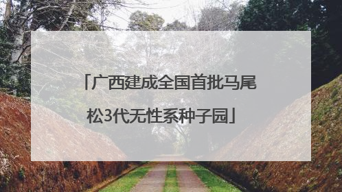 广西建成全国首批马尾松3代无性系种子园