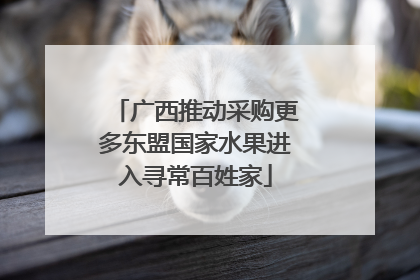 广西推动采购更多东盟国家水果进入寻常百姓家