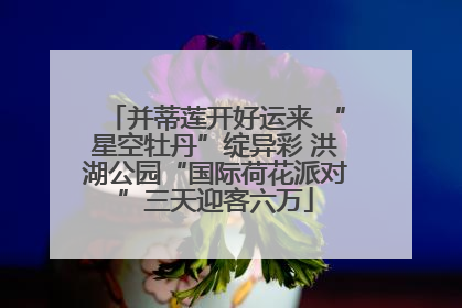 并蒂莲开好运来 “星空牡丹”绽异彩 洪湖公园“国际荷花派对”三天迎客六万