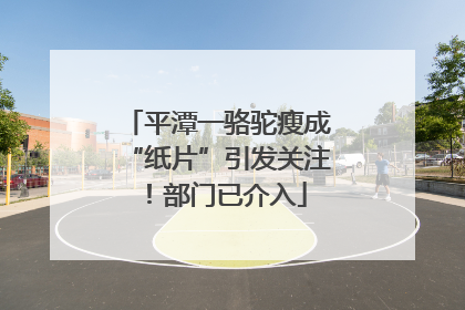 平潭一骆驼瘦成“纸片”引发关注！部门已介入