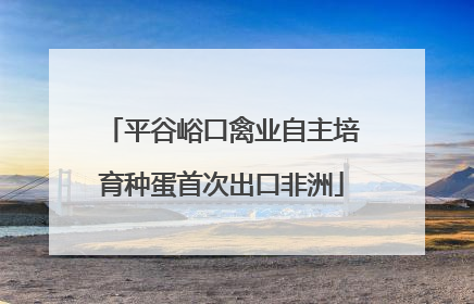 平谷峪口禽业自主培育种蛋首次出口非洲