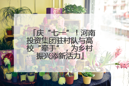 庆“七一”！河南投资集团驻村队与高校“牵手”，为乡村振兴添新活力