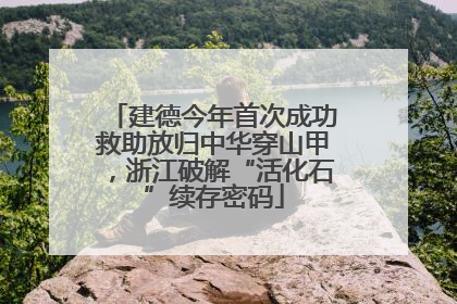 建德今年首次成功救助放归中华穿山甲，浙江破解“活化石”续存密码