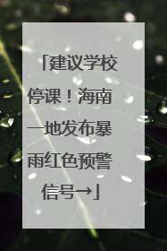 建议学校停课！海南一地发布暴雨红色预警信号→