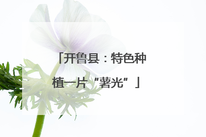 开鲁县：特色种植一片“薯光”